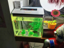 鱼之宝（Fish treasure）鱼缸水族箱金鱼缸生态鱼缸过滤器玻璃鱼缸懒人家用客厅彩灯鱼缸 M360智能生态鱼缸 实拍图