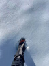 Tuban防沙鞋套户外登山防雪雪套徒步沙漠护腿套男女款儿童滑雪防水脚套 沙漠专用款-蓝黑L 实拍图