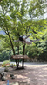 大疆 DJI Mini 3 Pro (DJI RC 带屏遥控器版) Pro 级迷你航拍机 飞行器 大疆无人机 实拍图