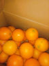 集年鲜江西信丰赣南脐橙现摘甜橙子生鲜水果原产地发货年货礼盒彩箱 10斤大优果含箱（200-300g) 实拍图