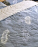 百丽丝水星家纺出品 床上四件套纯棉100%全棉被套床单套件被罩被单 实拍图