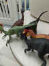 爸爸妈妈 儿童恐龙玩具软胶恐龙模型恐龙世界侏罗纪霸王龙6只套装宝宝动物仿真模型玩具大号男孩3-6岁礼物 实拍图
