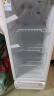 美的展示柜冷藏保鲜柜 210升立式单门饮料柜 便利店冰柜保鲜柜蛋糕柜鲜花柜商用冰箱一级能效ML-208DGE 晒单实拍图
