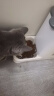 麦富迪猫粮 超肉粒冻干双拼粮10kg 成猫（冻干三文鱼） 实拍图