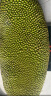 农锦鲜海南菠萝蜜一个装25-30斤新鲜水果当季特产源头直发包邮 晒单实拍图
