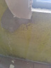 美巢墙固界面剂地固墙面加固剂封固混凝土增强剂处理剂固化剂墙锢 超环黄色（40%选）墙地面介面剂 18KG约刷270㎡墙即85㎡左右的房 实拍图