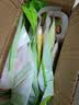 馋外婆泡山椒笋尖120g*10袋新鲜尖罗汉竹笋素食酸辣四川特产 10袋 实拍图