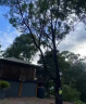 灭树粉专杀大i树烂根除树杀死大i树根药水腐蚀剂灭烂根粉强力凼祡 单瓶【试用装】 实拍图