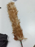 朋宁清洁刷具鸡毛禅子除尘扫灰清洁刷具鸡毛掸子可伸缩清洁刷具 15号缠皮竹把掸子 实拍图