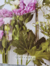 日本花艺名师的人气学堂：花束设计与制作（花艺设计经典书籍 开花店、花艺师必备 全彩步骤图解） 实拍图