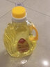 吾堂吾器 液体酥油植物酥油灯灯油供灯灯油供灯油供灯长明灯专用 台湾2.0L酥油（黄） 液体酥油 实拍图