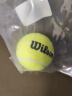 Wilson威尔胜单人初学者网球拍轻巧减震女生入门 Intrigue WRT3242001 实拍图