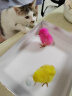 皇家猫粮 幼猫猫粮 幼猫奶糕 K36 通用粮 4-12月 4.5KG 实拍图
