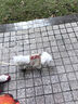 小冻狗狗牵引绳背心式自背包小型犬泰迪比熊博美宠物狗狗胸背带遛狗绳 外卖袋背包牵引绳套装 S（适用4-7斤） 实拍图