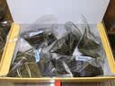 五芳斋端午节粽子中华老字号嘉兴特产咸鸭蛋粽子装蛋黄肉粽豆沙蜜枣 祥韵五芳礼盒(26D328)【12粽4味1酱鸭1500克】 实拍图