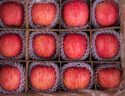 云鲜风陕西洛川红富士苹果新鲜甜脆水果 特大果5斤单果230g-320g 实拍图