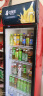 北极熊（BEIJIXIONG）展示柜冷藏柜冰柜商用饮料柜直冷风冷风直冷保鲜柜超市玻璃门冰箱立式啤酒柜 单门下机直冷（388升） 晒单实拍图
