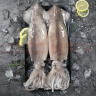 初鲜鲜冻大鱿鱼(2条)净重600-650g 铁板鱿鱼 火锅烧烤食材 国产海鲜 实拍图