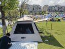TANXIANZHE探险者帐篷4-5人户外全自动便携式露营公园野餐野外黑胶防晒帐篷 晒单实拍图