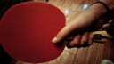 红双喜DHS狂飚四星横拍双面反胶乒乓球拍单拍成品拍H4002 实拍图