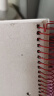 凯萨(KAISA)两孔笔记本 美式120张三科目线圈办公记事大学生考研本子熊猫爱悦系列日记本手账本 晒单实拍图