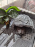 爬将军 乌龟躲避洞穴 绿植守宫黄缘造景屋 小大乌龟晒台爬台爬宠乌龟窝 大号【单躲避】 实拍图