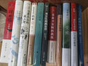 佐丽 豆瓣2024年度外国文学（小说类）推荐图书 小说 实拍图
