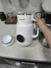 大宇（DAEWOO） 豆浆机家用迷你小型轻音全自动免洗破壁机1-2人免过滤多功能打豆浆米糊奶昔果汁机 朝露白 0.6L 实拍图