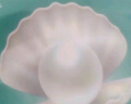JMsolution肌司研海洋珍珠三部曲补水面膜10片/盒 jm面膜 男女通用 保湿面膜 晒单实拍图