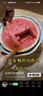 鹤王 银杏叶茶 银杏茶 2g每袋*30袋*盒 买3发6 实拍图