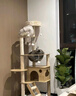 CHONLDERL猫爬架猫窝猫树一体大型太空舱通天柱猫架剑麻玩具猫抓板猫咪用品 【8层太空舱】猫乐园ML-2 实拍图