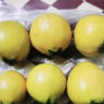 【顺丰】水蒲桃新鲜水果叮当果 蒲桃自种水番桃套袋水果 2斤 1斤 现货速发 实拍图