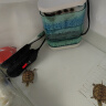 柏卡乐龟缸过滤器低水位乌龟缸吸粪吸便三合一净水循环过滤盒乌龟池专用 蓝3节-基础套餐【吸便+过滤】 实拍图