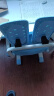 读书郎儿童学习书桌椅套装多功能可升降中小学生桌椅子写字桌家用课桌 环保桌面+抑菌椅垫蓝 实拍图
