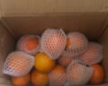 优仙果新鲜沃柑 纯甜橘子柑橘新鲜水果礼盒生鲜整箱10斤 5斤特大果单果75mm+ 实拍图