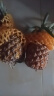 鲁禧香水菠萝  新鲜凤梨 热带水果孕妇水果时令生鲜 新鲜采摘产地直发 【优选2个装】2.5-3斤 实拍图