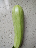 有机汇有机西葫芦 茭瓜节瓜新鲜蔬菜宝宝辅食 有机种植无农残 现摘现发 250g 实拍图