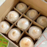 京鲜生泰国进口椰青 9个原箱装巨无霸单果1100g+  赠开椰器和吸管 生鲜 实拍图
