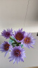 鲜花云南睡莲鲜花直批直发向日葵百合花束观音竹同城速递室内水养插花 紫色睡莲5枝 实拍图