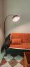 古普（Gupu）北欧极简轻奢客厅沙发艺术氛围卧室床头阅读LED钓鱼落地灯 小号黑色款+15W遥控支持天猫精灵 晒单实拍图