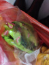 豆多奇鹌鹑蛋豆干五香味香辣味素肉卤蛋休闲豆腐干办公室儿童零食年货 五香味500g 实拍图