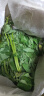 新鲜藿香叶子 鱼香叶 农家鱼香草 藿香叶子 纯叶子 带杆1斤顺丰 晒单实拍图