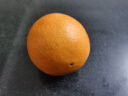 趣鲜语 湖北秭归伦晚脐橙4.5斤净重中果单果150g起橙子生鲜水果源头直发 实拍图