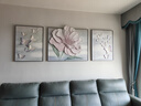 仙陶立体油画沙发背景墙三联装饰画浮雕手绘壁画客厅挂画轻奢大气简约 花舞纷飞【花朵】 简约无框 高80cm总长220cm(可调整长度) 实拍图