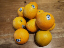 美国进口新奇士3107黑标脐橙Sunkist进口橙子甜橙单果约200克 10个大果 晒单实拍图