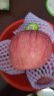 洛川苹果陕西延安红富士时令苹果水果礼盒苹果生鲜新鲜糖心脆甜整箱好吃 15枚70mm单果165g+ 优选装 实拍图