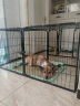 PEITE PET狗狗牵引绳中大型犬狗绳牵引绳背心式反光胸背带柴犬柯基遛狗绳 深蓝胸背带（+1.5米牵引绳） M（建议12-32斤） 实拍图