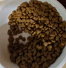 好主人猫粮 通用成猫粮2.5kg室内全营养配方蓝猫英短美短天然粮5斤/20斤 经典成猫粮5斤 实拍图