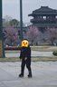 美洲狮（COUGAR）成人可调全闪溜冰鞋平花休闲两用轮滑鞋 黑色 L码 实拍图