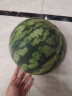 京鲜生 国产麒麟西瓜 1粒装 单果约3.5kg 生鲜水果 实拍图